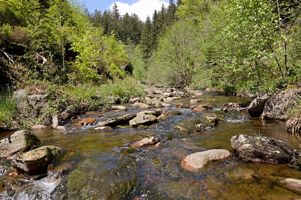 ardennen belgie natuur natuurgebied bos bossen eifel gebergte wandelen fietsen kanoen kasteel hdr hdr